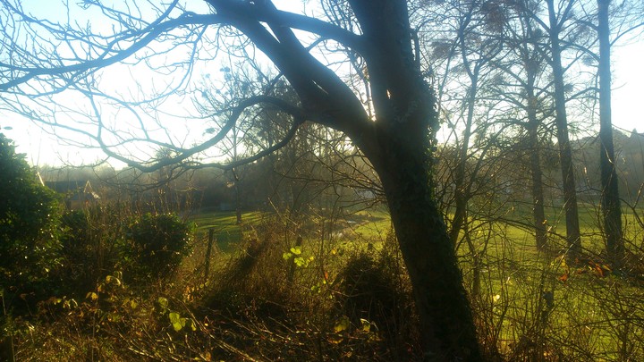 green atmosphere