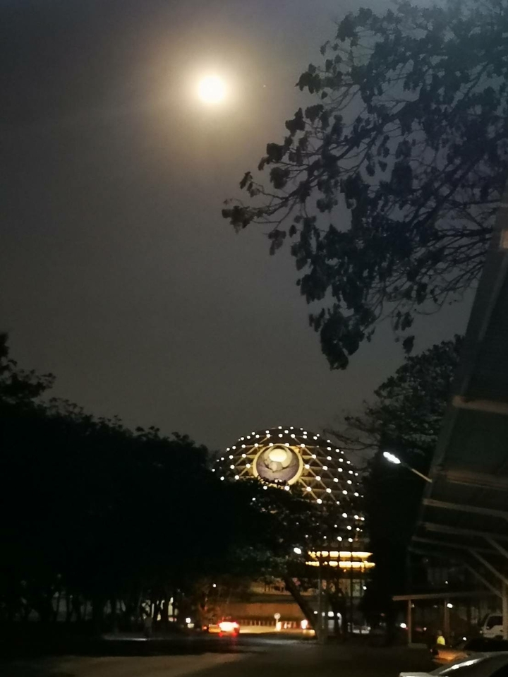 Building in the night