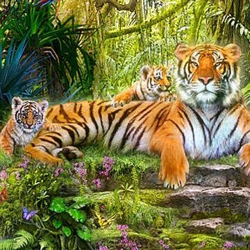 sonu