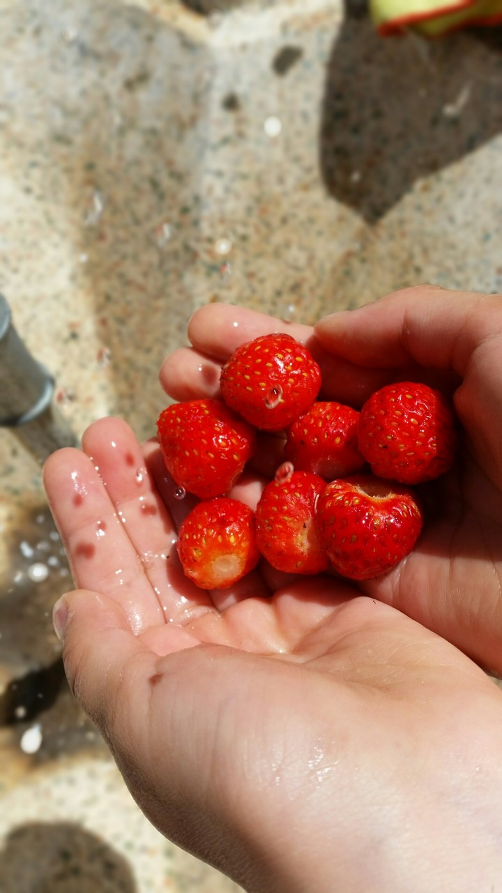 STRAWBERRY
