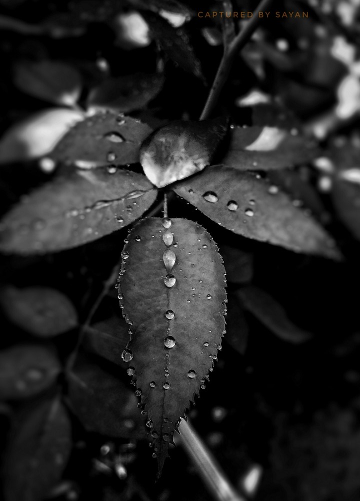 after rain