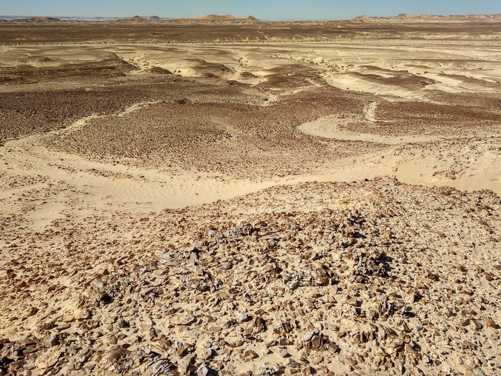 desert