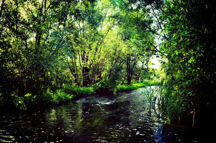 Rivers