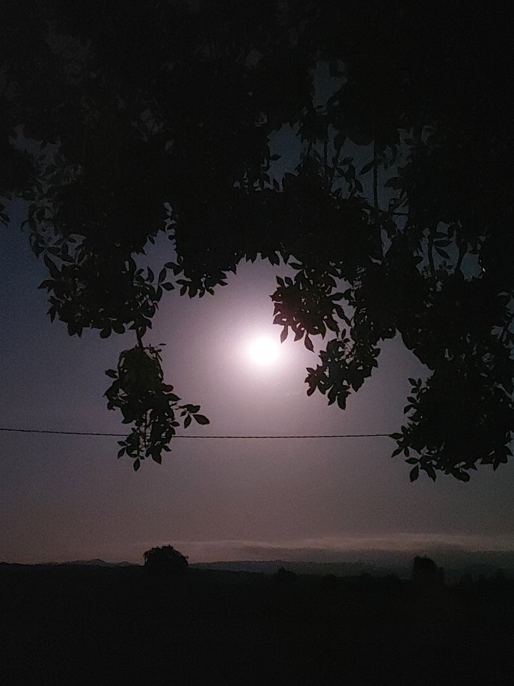 Luna Llena