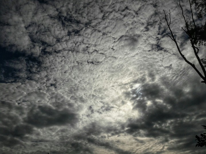 Nature's beauty