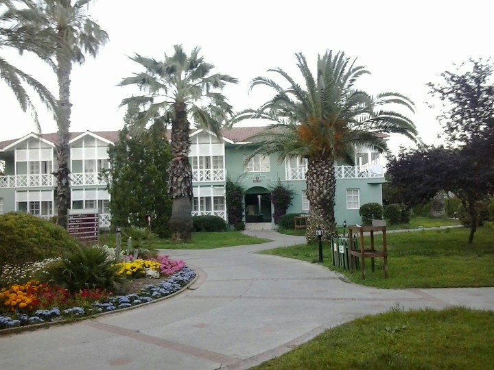 nature