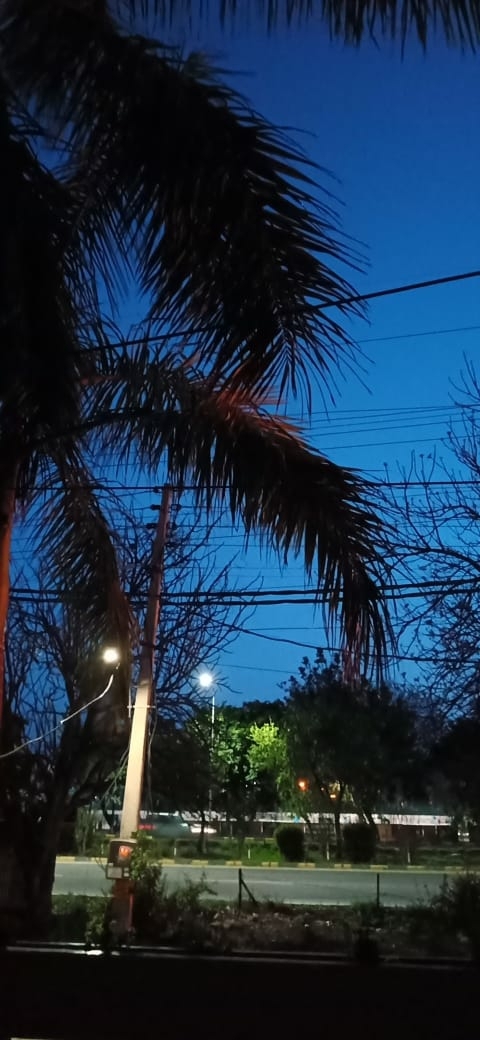 an evening in kkr