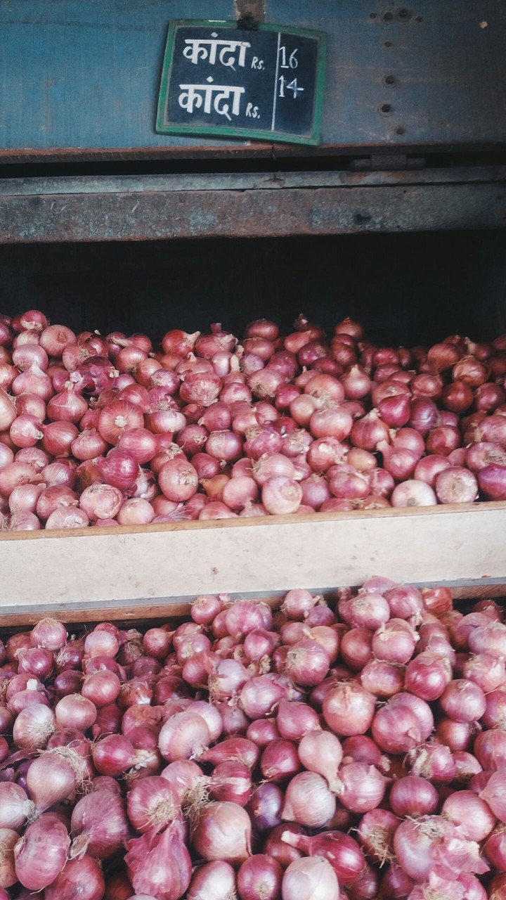 Onion