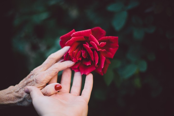 fleurs