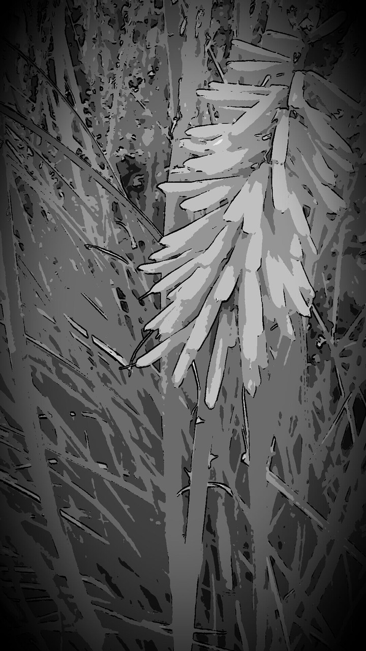 Moody flower