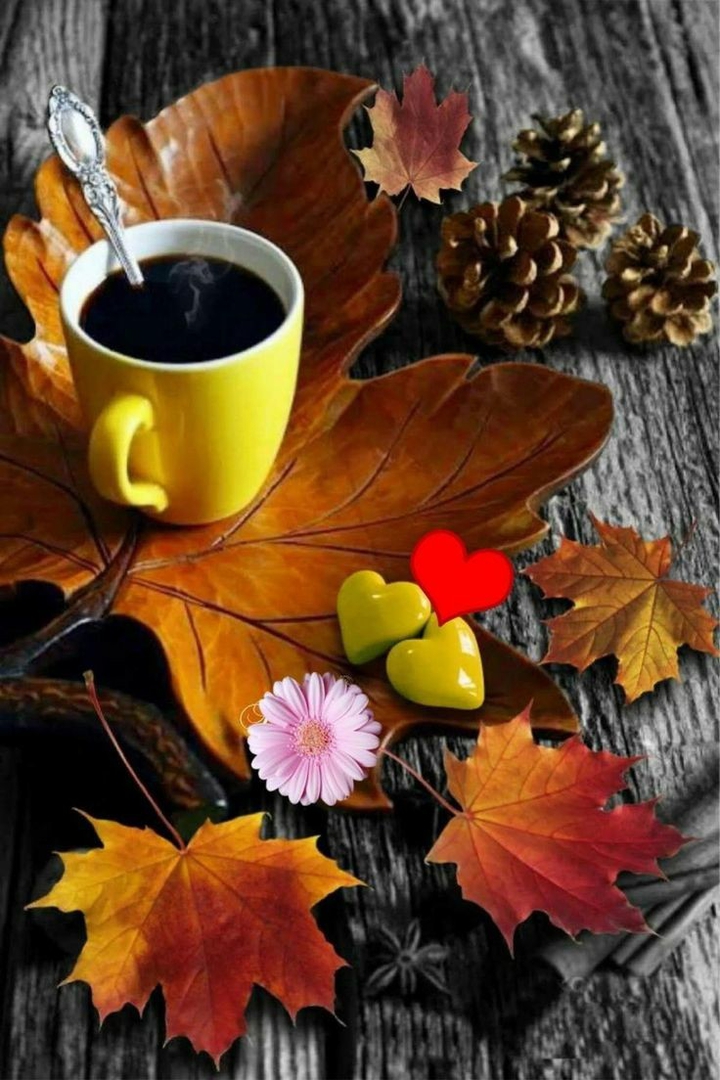 autumn