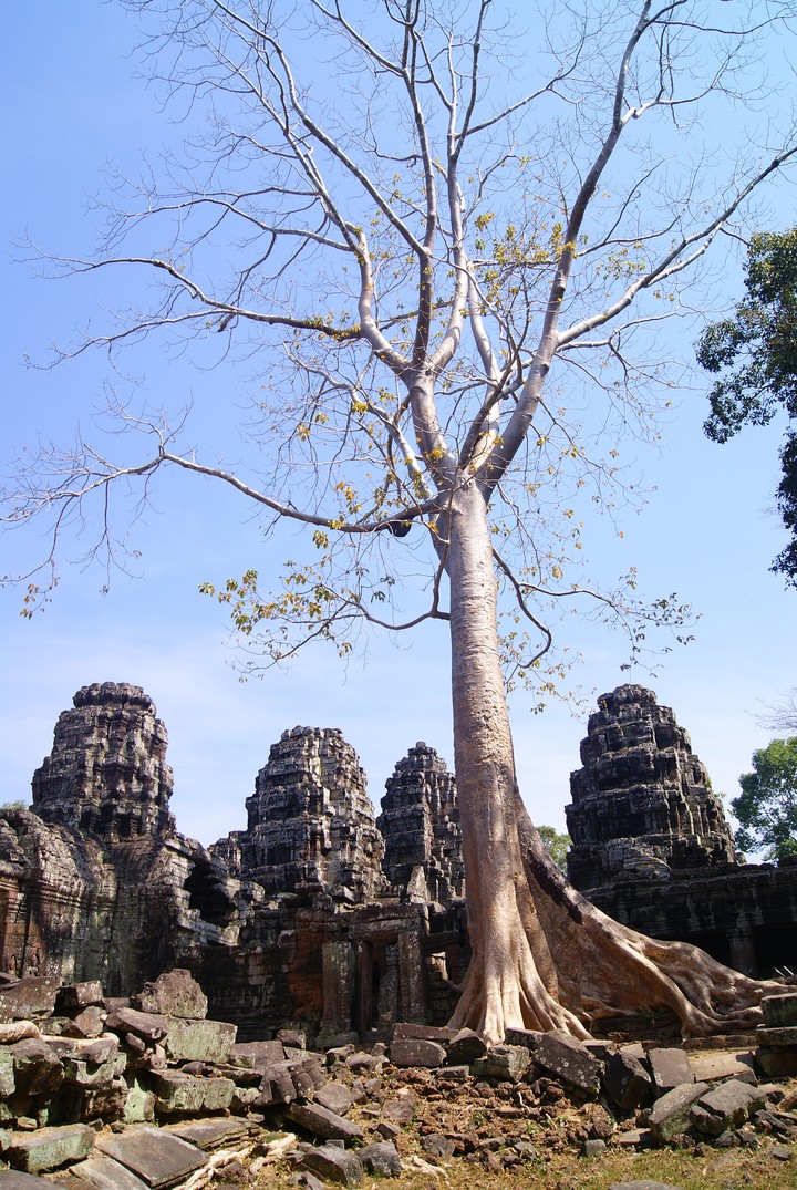 Travel