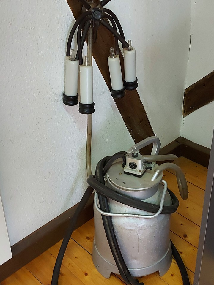 melkudensieln