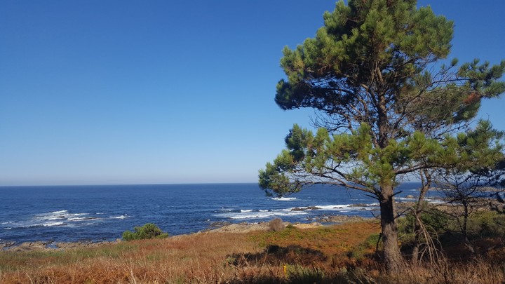Camino de Santiago