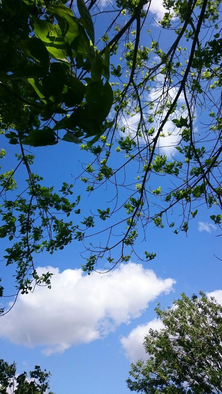 nature