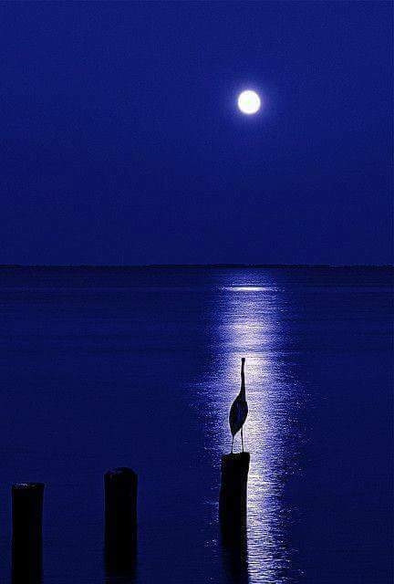 Solitude