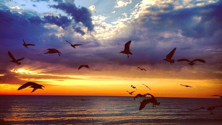 sunrise