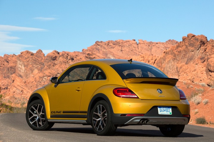 Beetle
