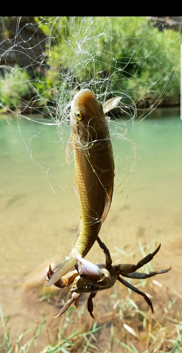 kim dost kim düşman bilinmez...