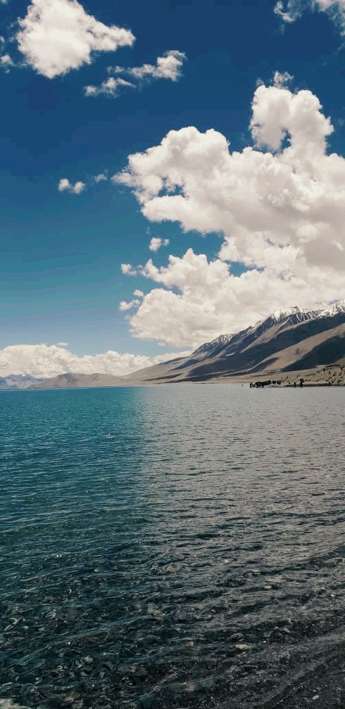 ladakh
