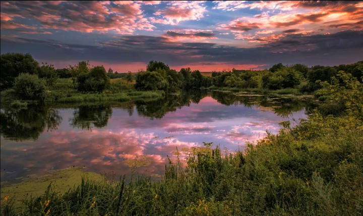 Reflection