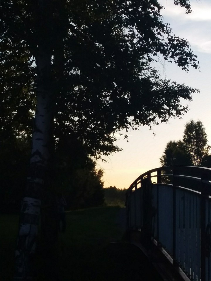 evening park