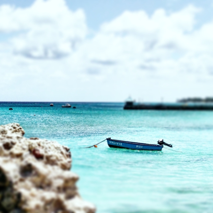 Sea lover