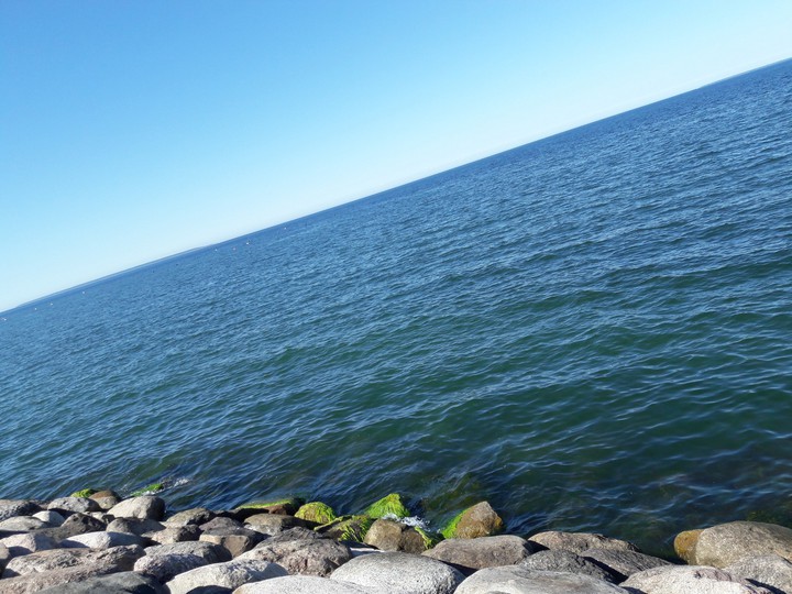 طبیعت