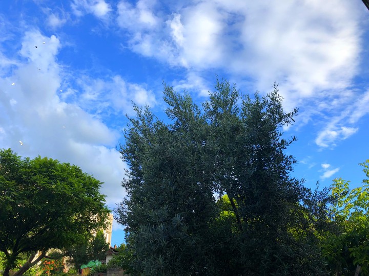 sky