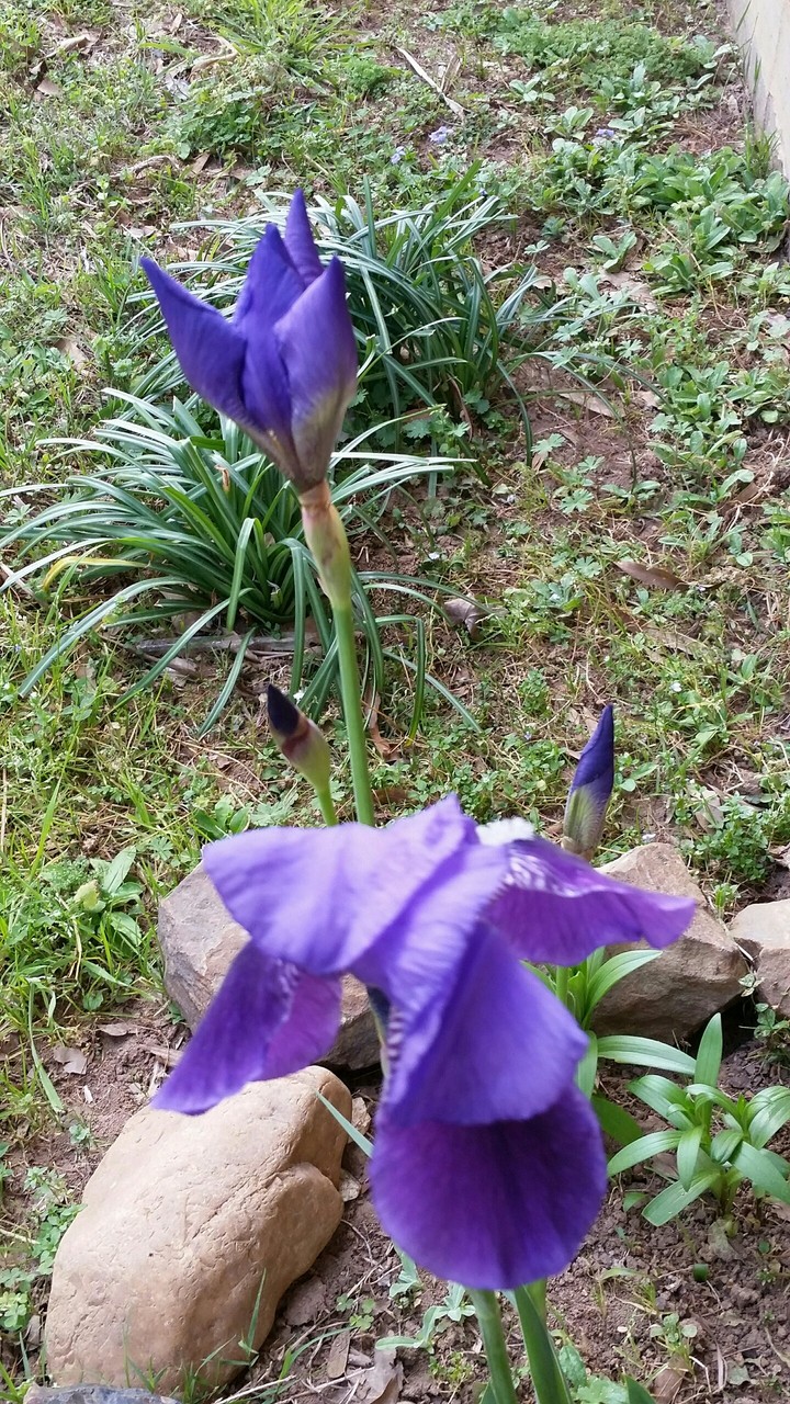 nature