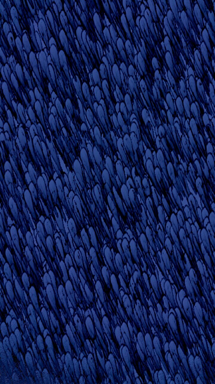 Blue Blue Blue