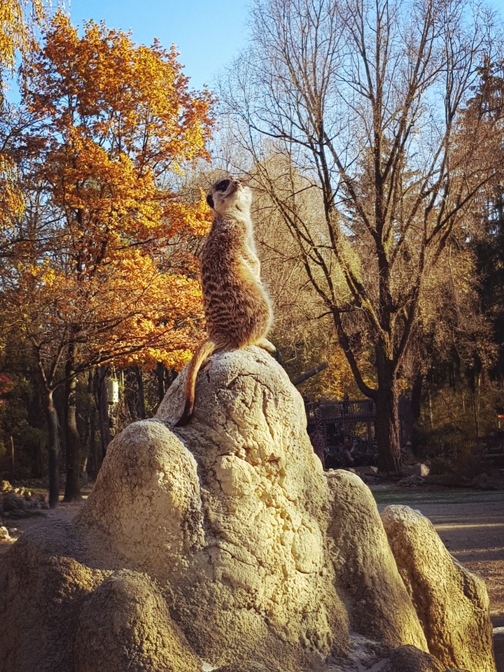 Sonne genießen