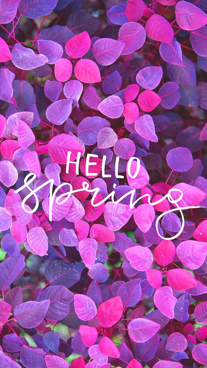 HELLO Spring ☺️