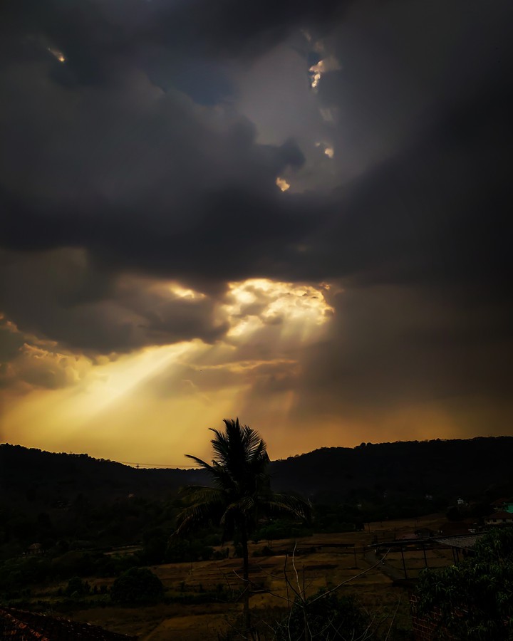 sunlight