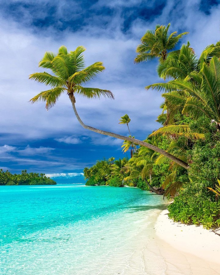 tropical