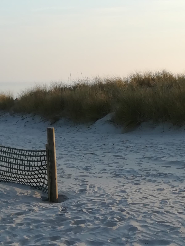 Strandfeeling