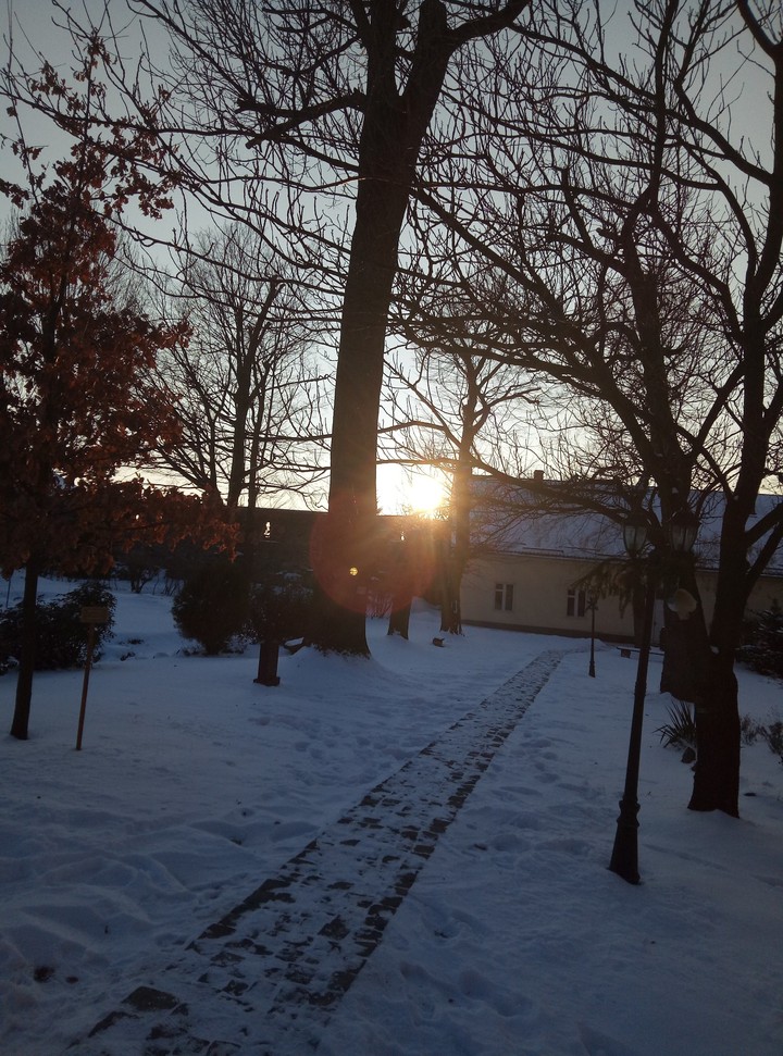 Зима закат
