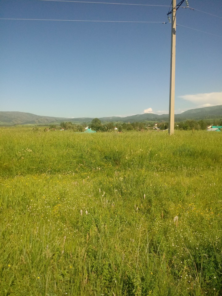кросота зелёные поля