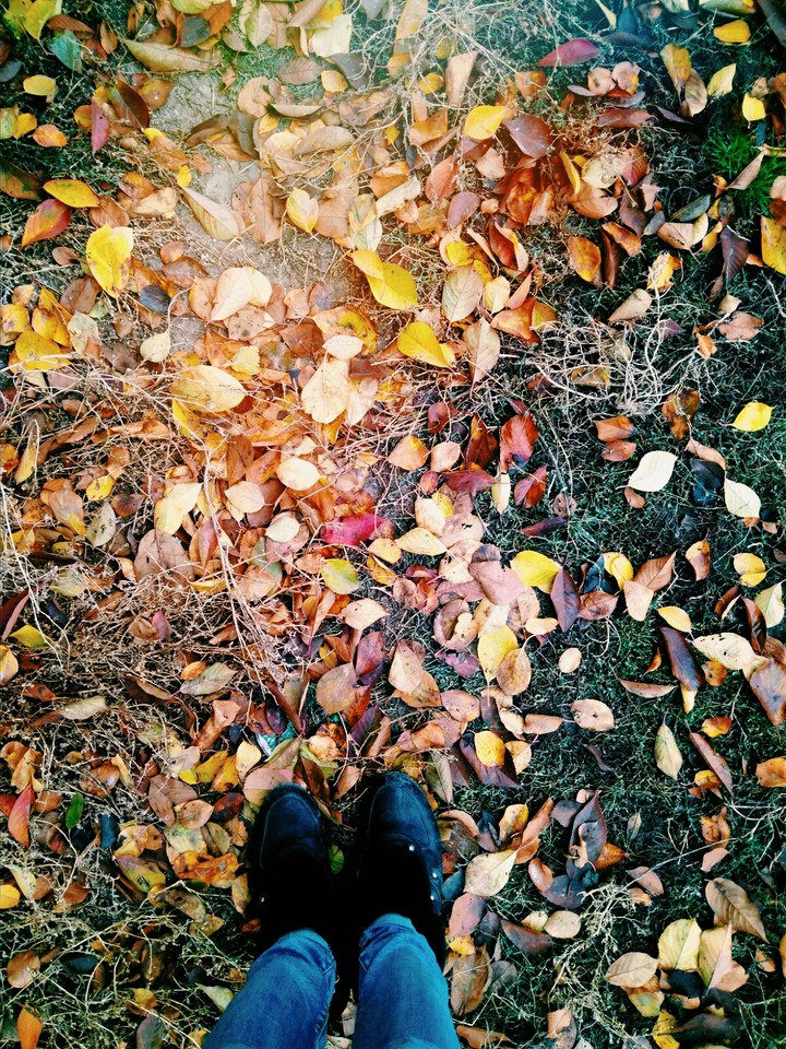 Nature of autumn