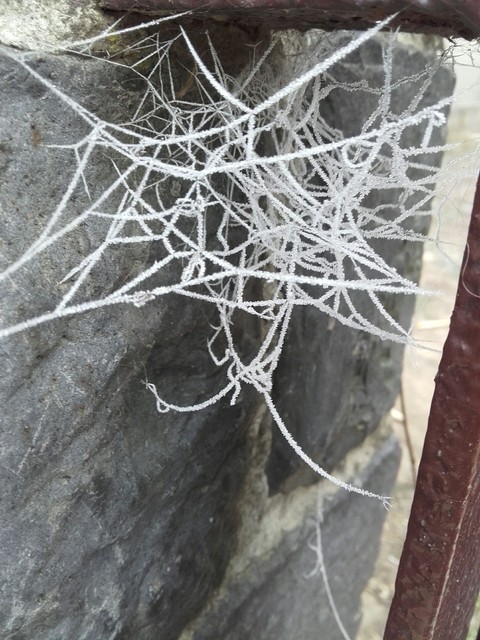 sfondi snow, material