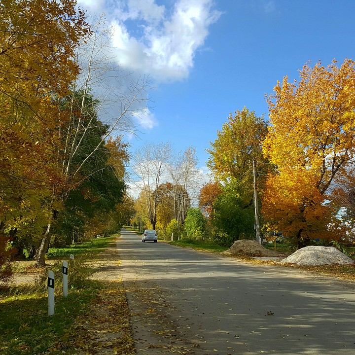 Autumn 2016