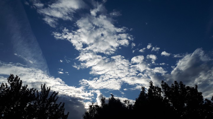 Clouds over The Trees