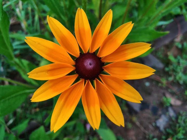 Symmetry