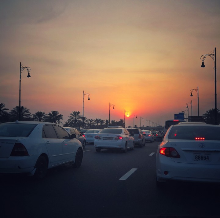 Evening drive