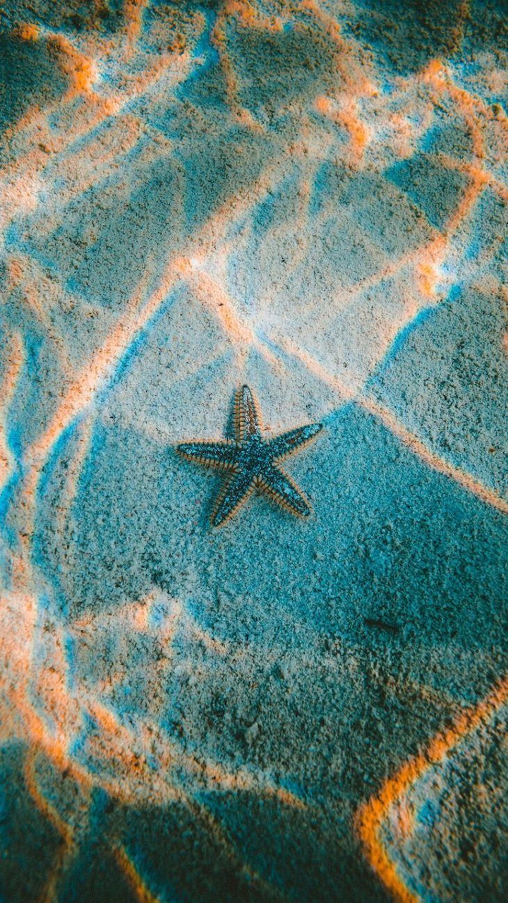 star