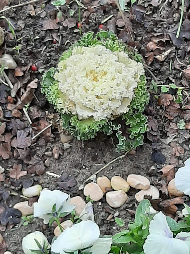 merveille du monde