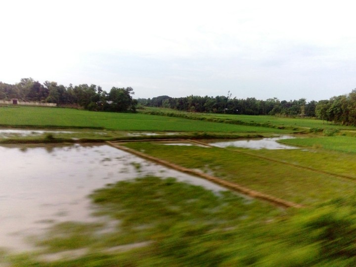 Firm filled from Bangladesh