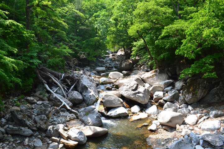 산이미지