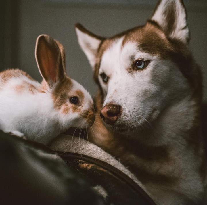 •°•°•♧•°•♡•°•♧•°•°•