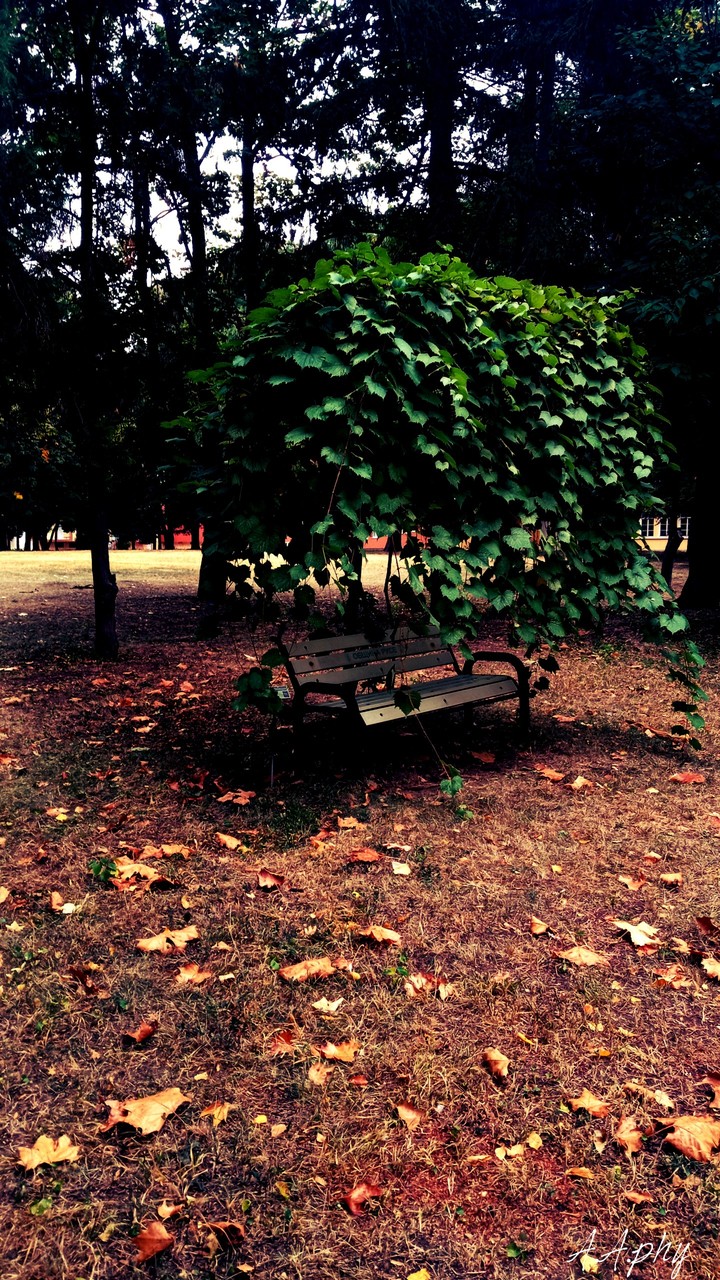 nature